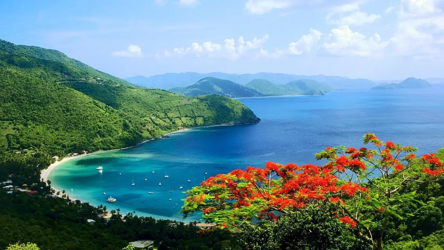 高性能独特